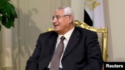 الرئيس المصري المؤقت عدلي منصور 