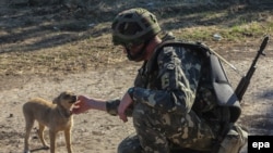 Украинский военнослужащий рядом с Горловкой (городом на востоке Украины).