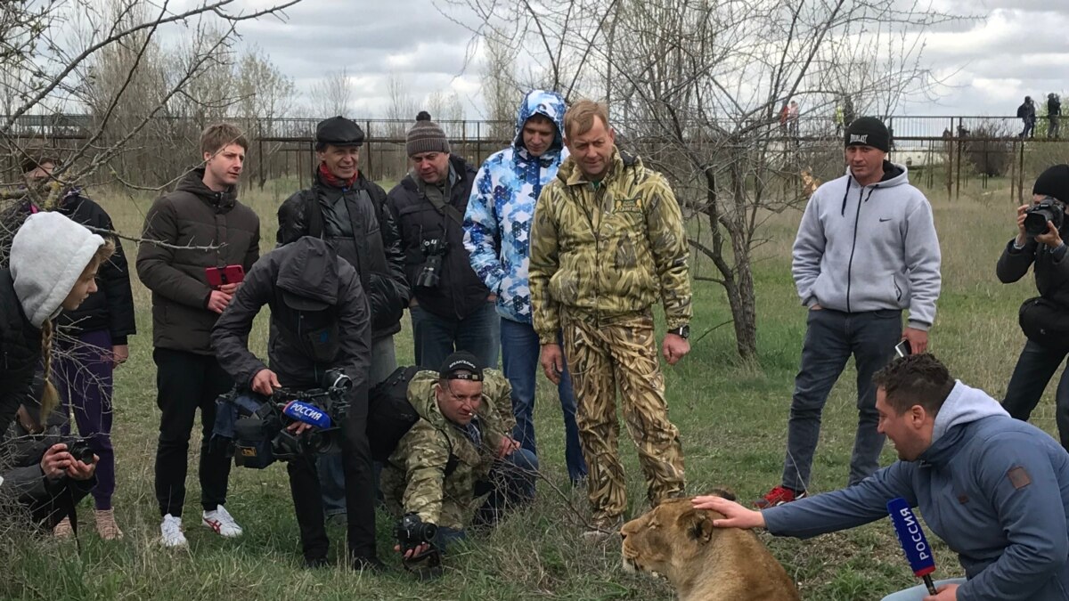 Тайган новости сегодняшних событий. Парк Львов Тайган происшествия несчастные случаи. Несчастные случаи в Тайгане Крым. Несчастный случай в заповеднике Тайган. Тайган погиб сотрудник.