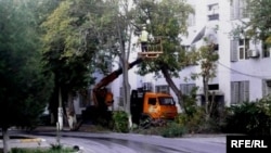 Иллюстративное фото