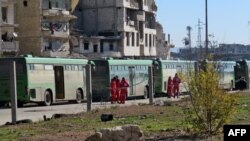 Автобусы, на которых должны вывозить людей из Алеппо