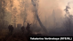 Лісова пожежа в Іркуській області