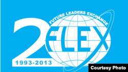 Лого к 20-летию программы FLEX