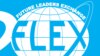 Эмблема FLEX