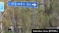 „Ei trebuie toți închiși așa într-un strat interesant și tot de uitat la vreo săptămână – au să facă politică acolo, fără mâncare, fără nimic.”