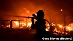 Нинішні пожежі, які тривають вже тиждень, призвели до найбільшої кількості жертв за всю історію Каліфорнії