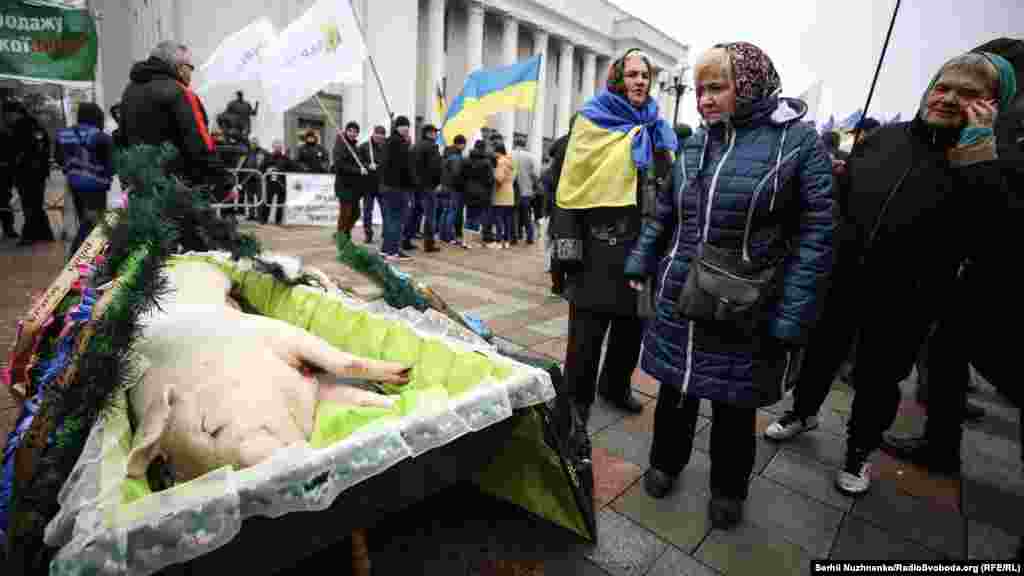 Під стіни парламенту аграрії принесли мертву свиню в труні. Таким чином активісти натякали, що історія сільського господарства закінчиться в Україні, якщо Верховна Рада ухвалить законопроєкт про ринок землі. Символічні &laquo;похорони&raquo;, на думку демонстрантів, уособлюють майбутнє напрямку тваринництва в Україні, яке, вважають вони, приречене на загибель в разі впровадження &laquo;дикого&raquo; ринку землі.