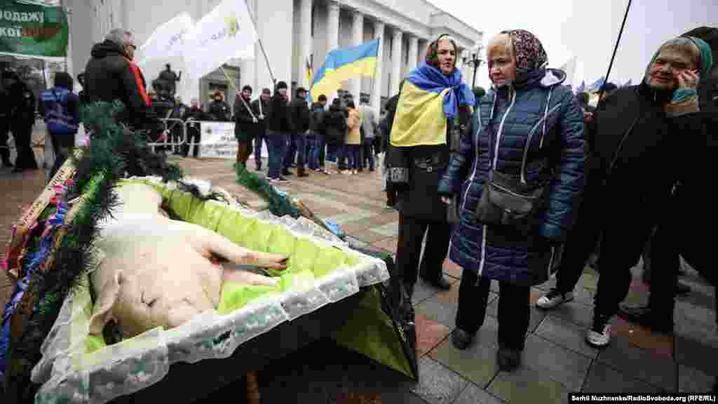 Під стіни парламенту аграрії принесли мертву свиню в труні. Таким чином активісти натякали, що історія сільського господарства закінчиться в Україні, якщо Верховна Рада ухвалить законопроєкт про ринок землі. Символічні «похорони», на думку демонстрантів, уособлюють майбутнє напрямку тваринництва в Україні, яке, вважають вони, приречене на загибель в разі впровадження «дикого» ринку землі.