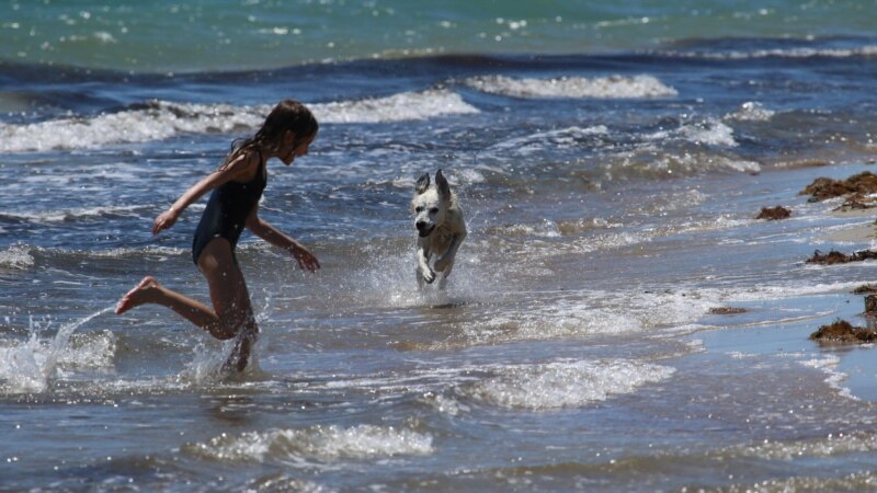 Девочка с собакой на берегу Черного моря в Евпатории | Крымское фото дня