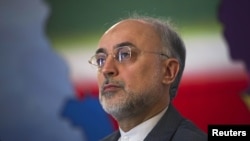 Iranian Foreign Minister Ali Akbar Salehi is the country's former nuclear negotiator and head of its Atomic Energy Organization.