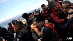 Түркиядан Эгей деңизи аркылуу Грециянын Лесбос аралына келген мигранттар менен бозгундар. 2-октябрь 2015. 
