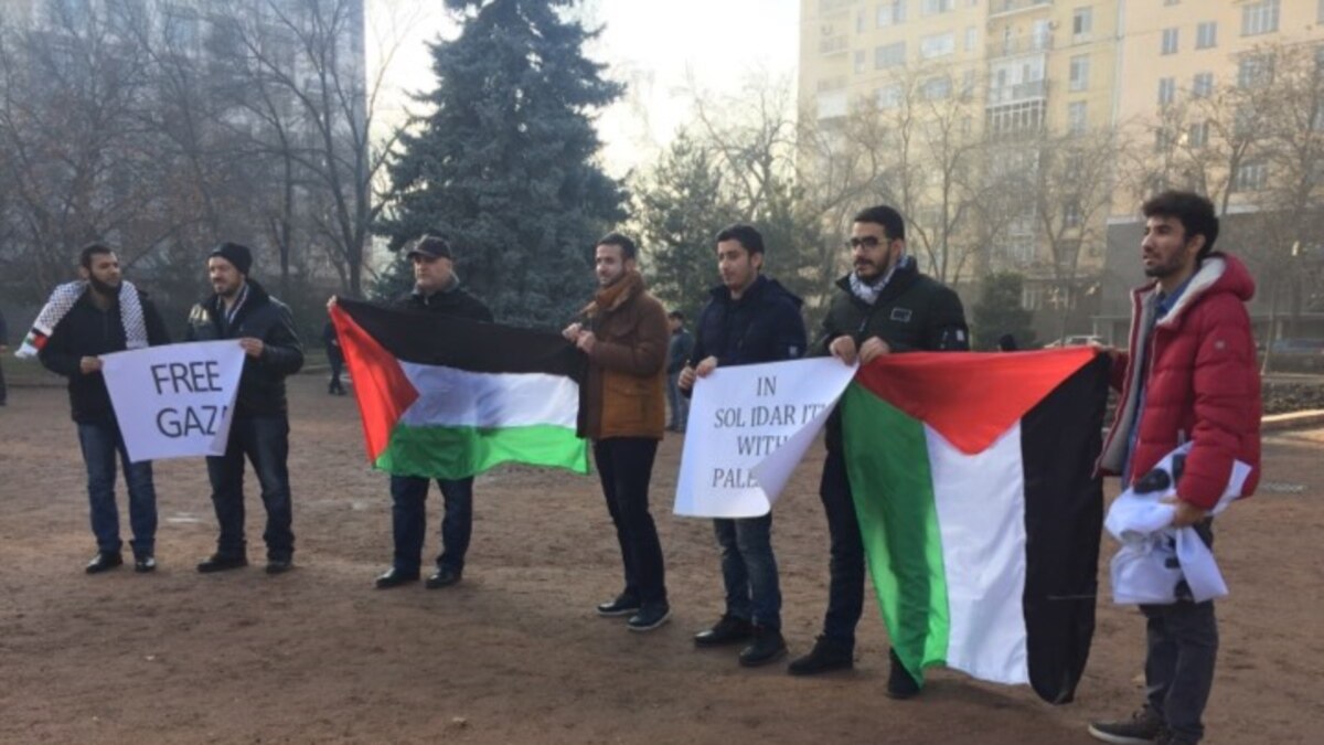 Митинги в поддержку палестины