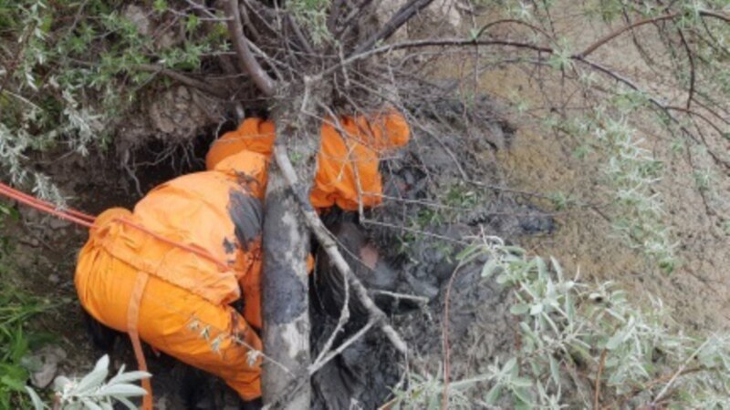 В Судаке мужчина на пять часов застрял в грязи, его доставали спасатели (+фото)