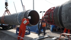 Рабочие на строительной площадке газопровода «Северный поток-2», Ленинградская область России, 5 июня 2019 года