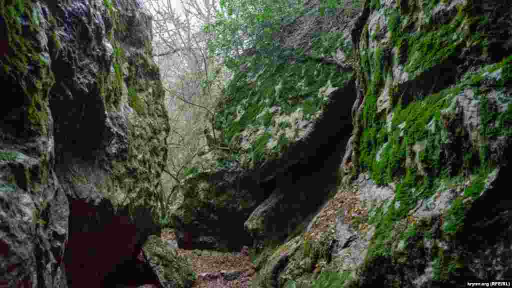 Грот в каменном хаосе над Массандровским дворцом. В гроте сохранился алтарь пещерного храма