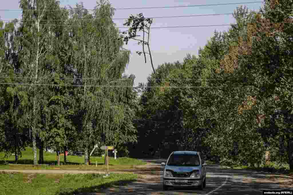 Галіны дрэваў вісяць на электрычных правадах у суседняй вёсцы Атоліна