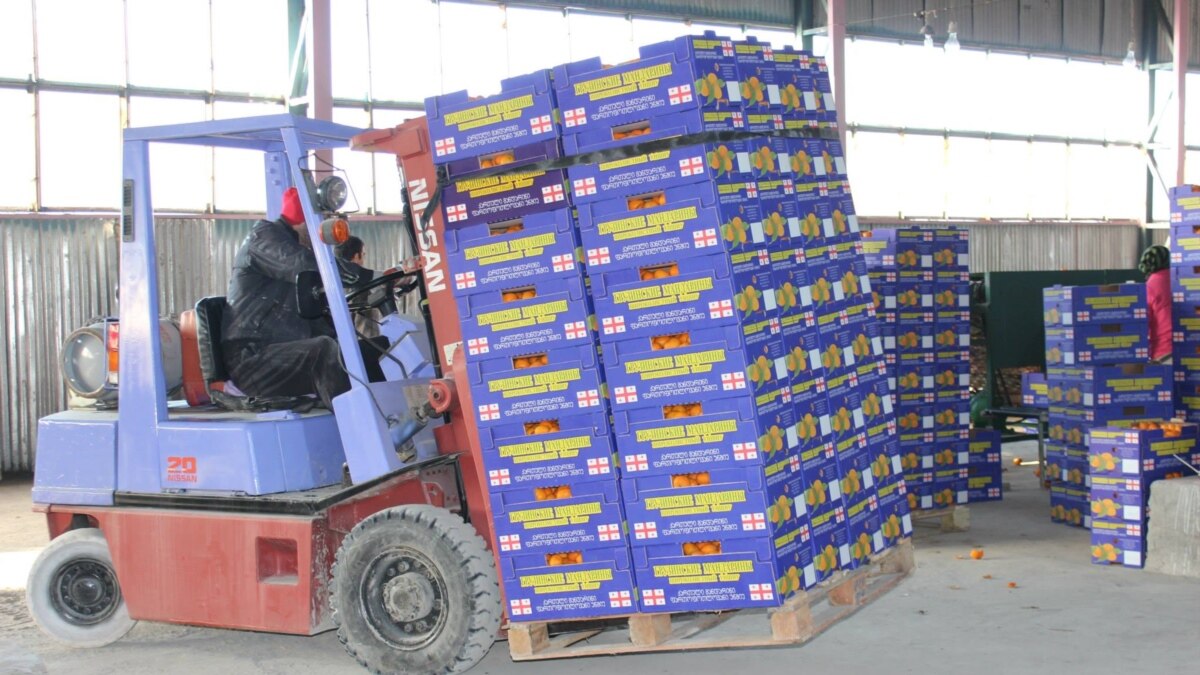 Экспорт мандаринов из Грузии вырос в 5 раз, основным рынком остается Россия