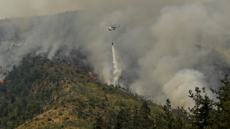 В районе Боржоми горит лес - в тушении задействован вертолет