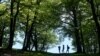 Samo tri odsto Nacionalnog parka Fruška Gora je pod prvim stepenom zaštite