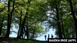Samo tri odsto Nacionalnog parka Fruška Gora je pod prvim stepenom zaštite