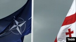 Is Georgia looking for a back door into NATO?