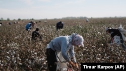 Nongovernmental organizations say forced labor is still rampant in the cotton sector. (file photo)