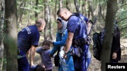 Syrian migrant
