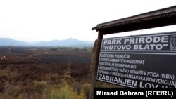 Močvarni dio je u požaru 2017. godine skoro u potpunosti uništen (Arhivska fotografija)