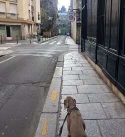 Парижские улочки пусты
