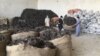 عثمان: سالانه ۱۵۰۰ تن کرک از هرات به چین صادر می‌شود