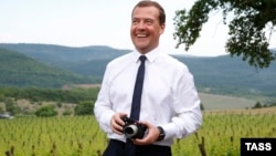 Премьер-министр России Дмитрий Медведев во время посещения сельскохозяйственного производственного кооператива "Терруар" в селе Родное в окрестностях Ялты