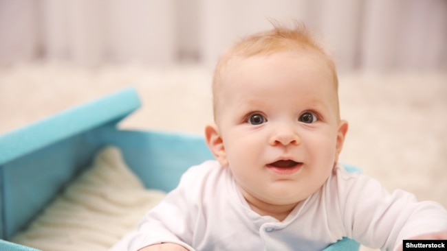 Ілюстрацыяйнае фота