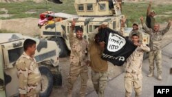 Iraqi pro-government forces hold up an Islamic State (IS) group flag and flash the V-sign during a military operation against IS near Amriyat al-Fallujah, west of the capital Baghdad in the Anbar province, May 2016.