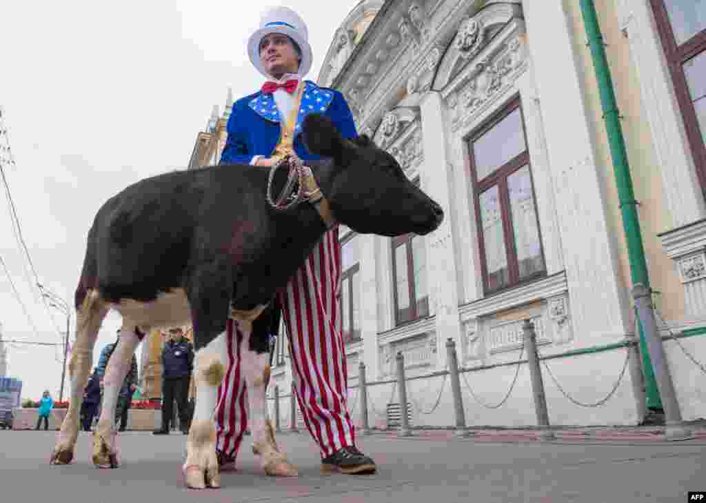 A Russian activist with&nbsp;The Truth About Food&nbsp;movement holds a calf as he wears an Uncle Sam suit during a protest against U.S. sanctions in front of the U.S. Embassy in Moscow. (AFP/Alexander Utkin) 