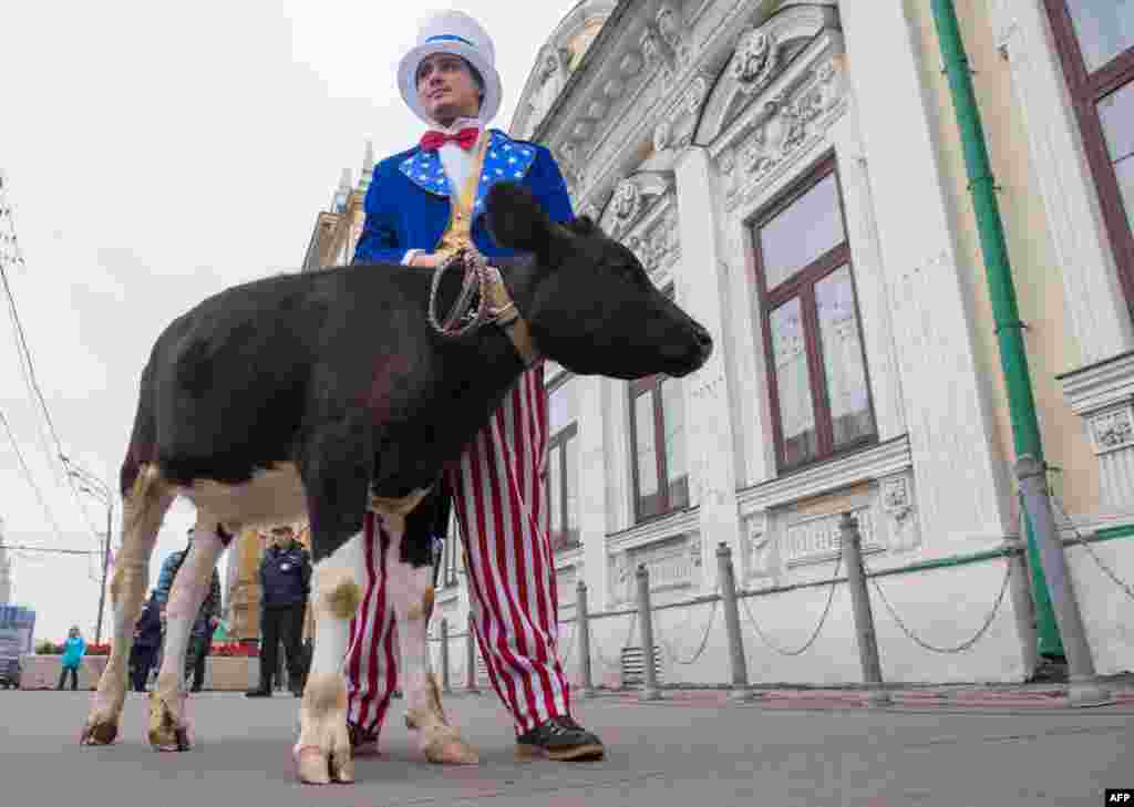 Эса а далош веана Iамеркина реза воцу Оьрсийчоьнан Iедална муьтIахь волу жигархо Цхьаьнатоьхначу Штатийн Москох йолчу векалаллина хьалха.&nbsp;(AFP/Alexander Utkin) 