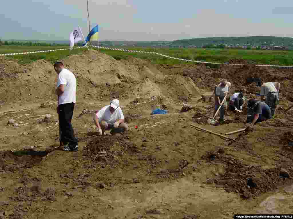 У селі Пшеничники Тисменицького району на Івано-Франківщині відновлені розкопки, які розпочали минулого року. 