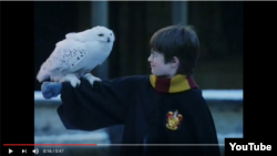Harry Potter și bufnița lui, Hedwig
