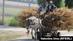 „Oamenii nu-s cinstiți, și acei de la putere, și acești de mai jos.”