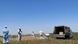 Похороны на кладбище под Алматы для умерших от коронавируса.