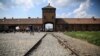 На территории бывшего нацистского концлагеря «Аушвиц-Биркенау у города Освенцима (Польша) теперь действует музей. В концлагере удерживали более 14 500 выходцев с территории Украины