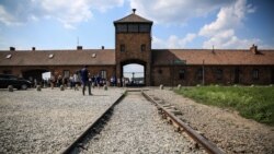 Polona, muzeul de la lagărul de exterminare nazist Auschwitz - Birkenau