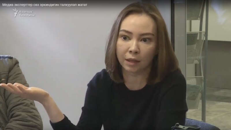 Каракулова: Журналисттерди сотко бергендер акылга сыйбаган доону сурашат