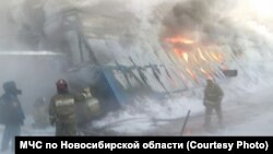 Сӯхтор дар Новосибирск