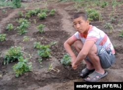 Аслан, второй сын Куаныша Алимжанова. Актюбинская область, село Шубарши, 14 мая 2012 года.