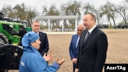 Prezident İlham Əliyev və yerli fermer Humay Məmmədova, Saatli rayonu, .28 mart 2017