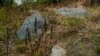Камяні з памятнымі знакамі на Крапівенскім полі пад Воршай