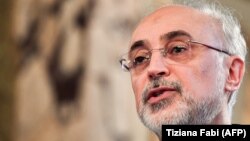 Ali Akbar Salehi, head of the Iranian nuclear program, speaks during a meeting at Accademia dei Lincei in Rome, October 10, 2017