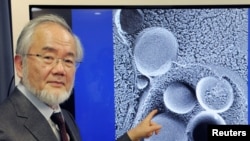 Yoshinori Ohsumi