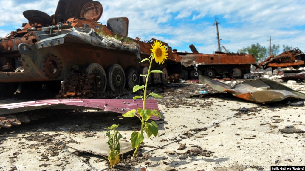 بقایای خودروهای نظامی روسی در محدوده مزرعه‌ای در خارکیف اوکراین، ۲۶ تیر ۱۴۰۱