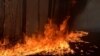 Парламент у першому читанні підтримав підвищення штрафів за пожежі в екосистемах
